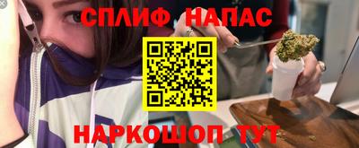 гидра Котовск