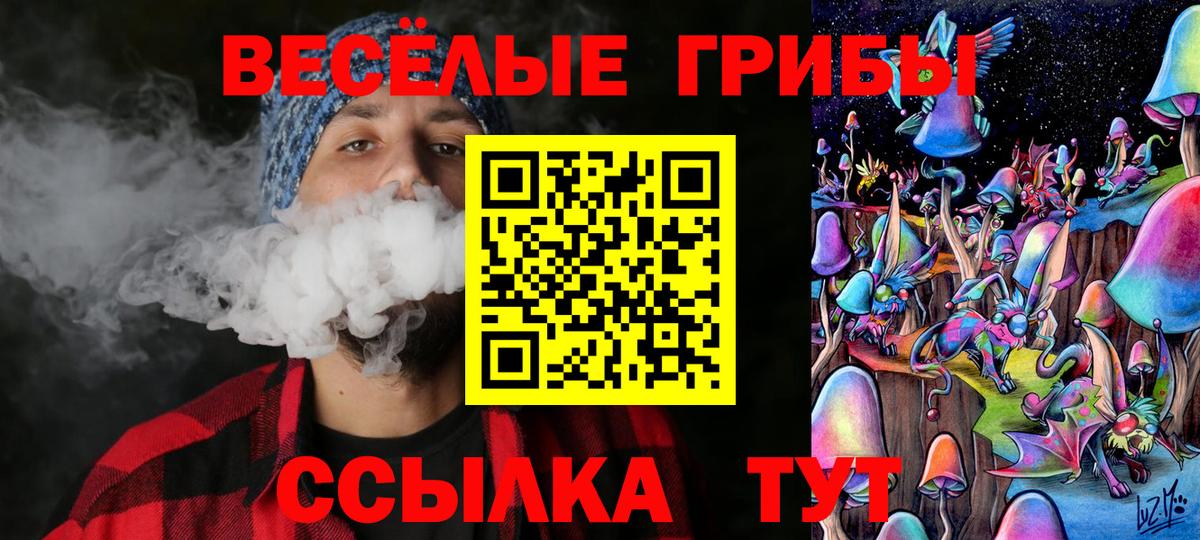 Псилоцибиновые грибы мухоморы Краснокаменск