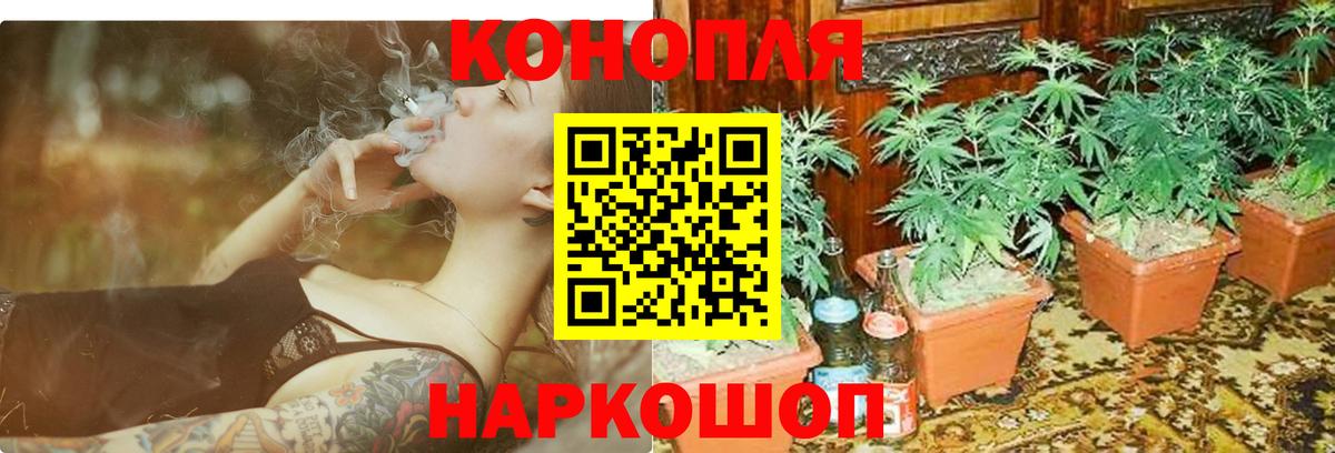 Бошки Шишки индика  Марихуана тримм  Вход с VPN  Краснокаменск  Каннабис планчик 